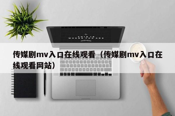 传媒剧mv入口在线观看（传媒剧mv入口在线观看网站）